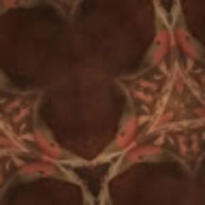 Meet your Posher, Mubarek